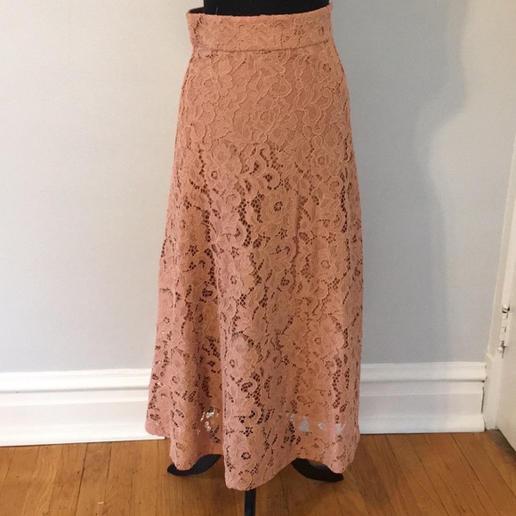 Zara A-line Pink Floral Lace Midi Skirt, XS - Picture 5 of 8